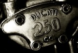 ducati enrico