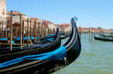 gondolas in venice boss tweed