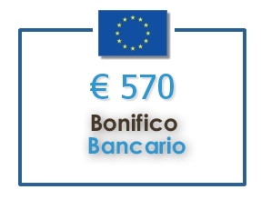 bonifico UE